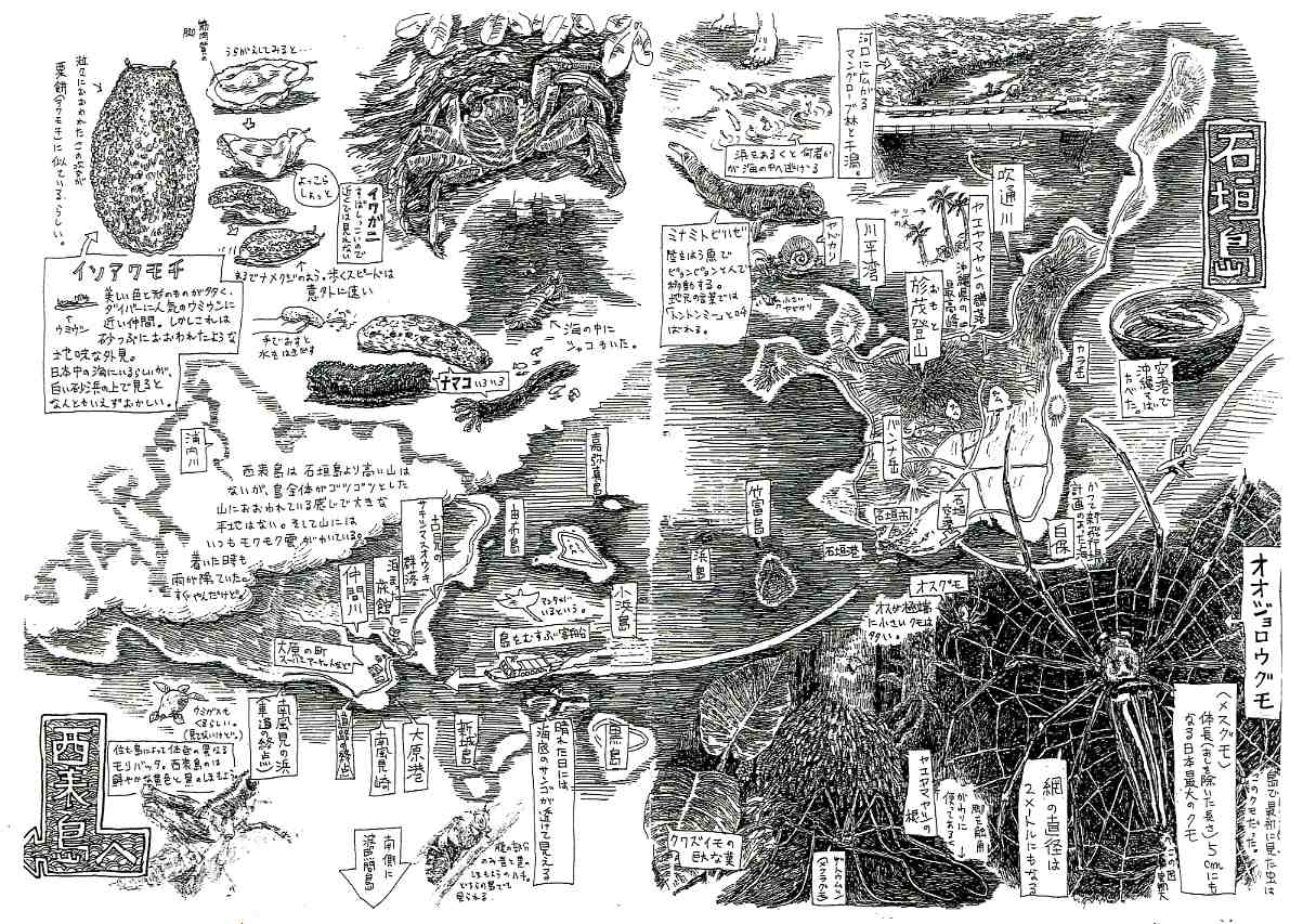 石垣 西表島イラスト紀行 01年 よたか堂 カイズケンのブログ 石垣 西表島イラスト紀行 01年 よたか堂 カイズケンのブログ