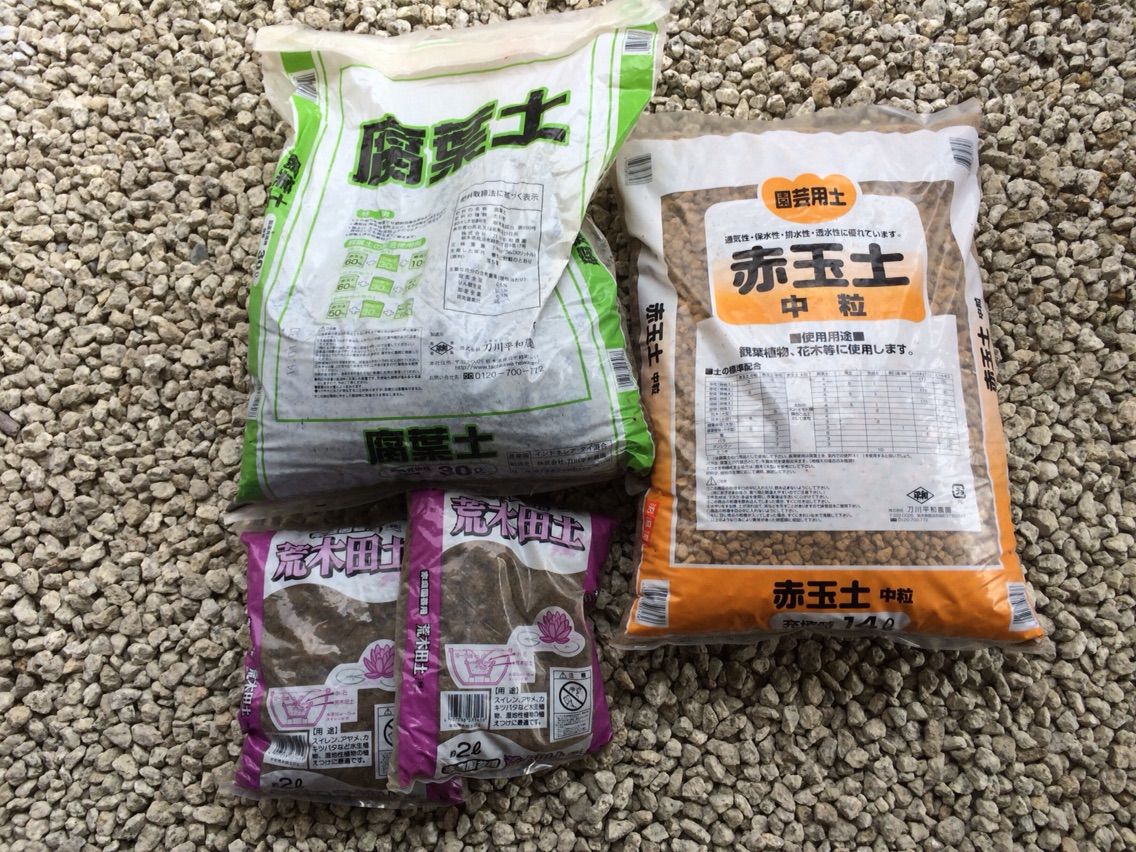 睡蓮の植え替え あきッサのメダカとビオトープ