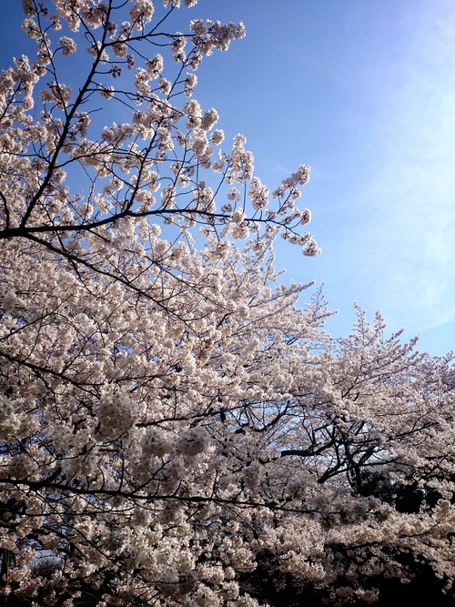 2014-03-31-15-25-19_deco