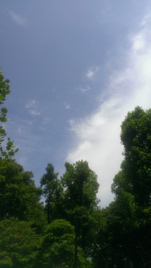 IMAG0003