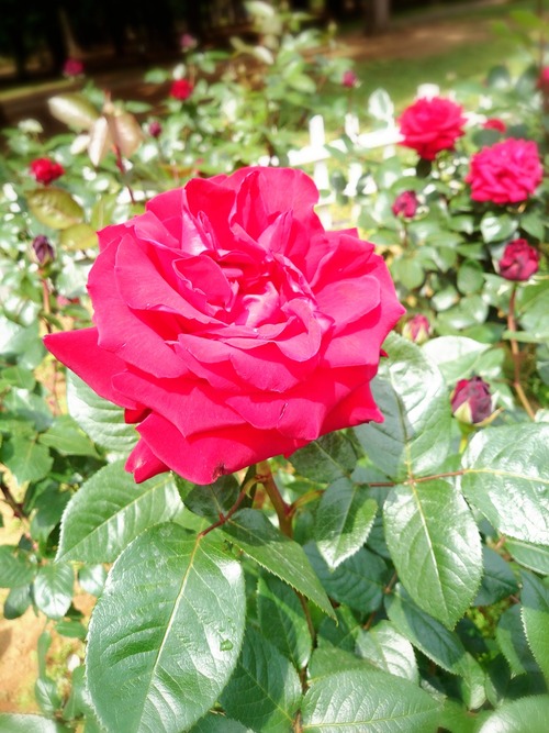 2014-05-08-12-41-04_deco