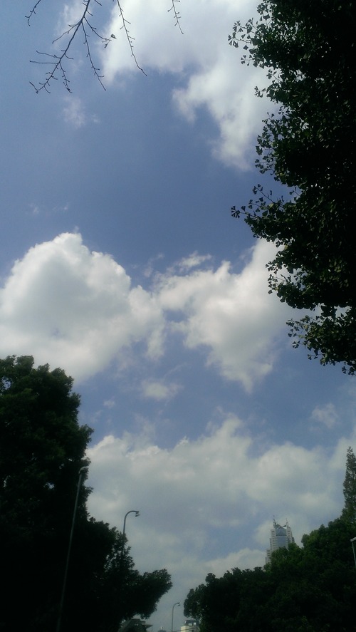 IMAG0204