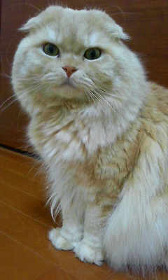 aba59a98.jpg