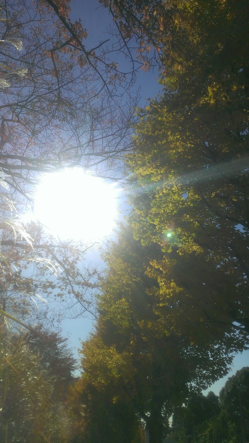 IMAG0371