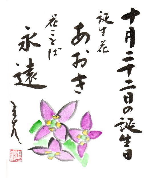 今日の誕生花と花言葉 河童の書 色紙教室