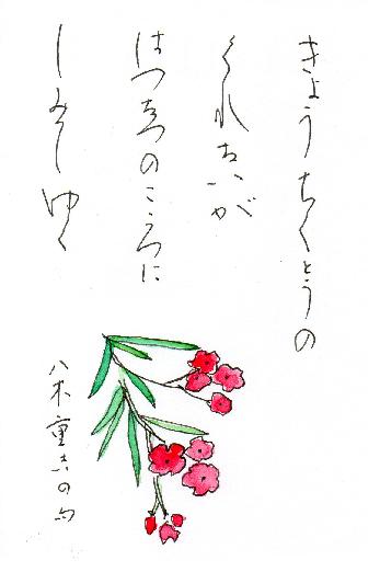 今日の誕生花と花言葉 河童の書 色紙教室