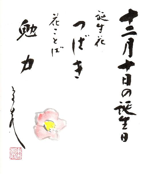 今日の誕生花と花言葉 河童の書 色紙教室