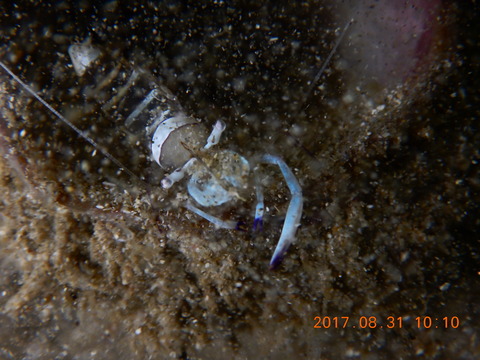 DSCN2362