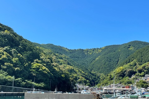 IMG_53051