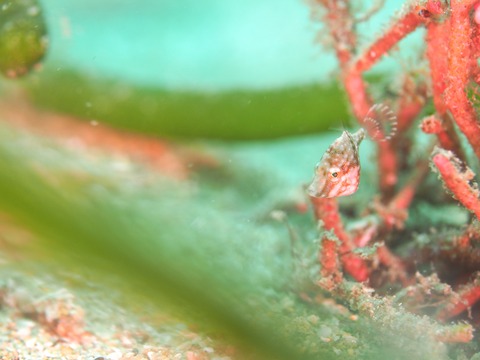 00DC2C4D-9C1D-4CD0-85F3-AD225CA98D63