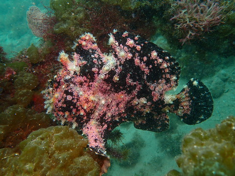 P5012638