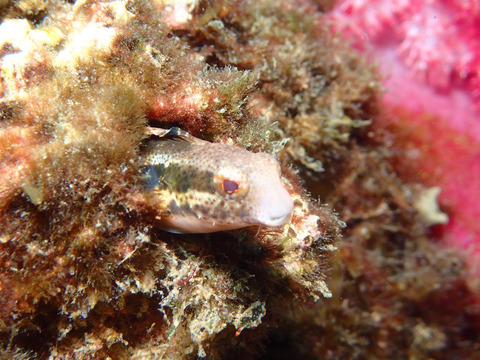 46C2996B-4F4B-4555-9EEB-CD5F17835EAF