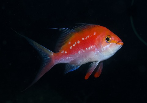 写真 2017-09-28 8 53 22