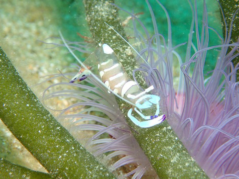 0FE9606D-564C-4A86-9F00-A9BDD456D949