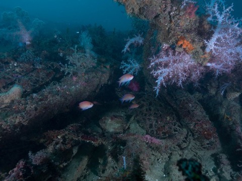 写真 2016-11-16 12 57 02