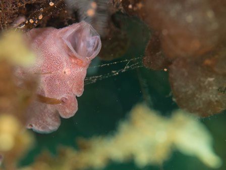 写真 2016-05-12 13 06 34