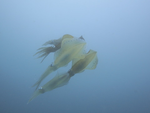 P8210103