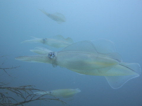 P8210089