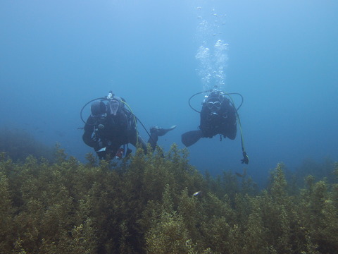 P6250925