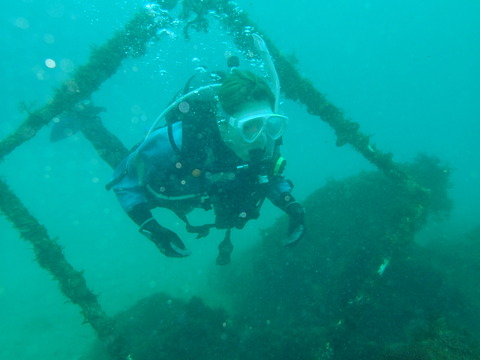 P3303483