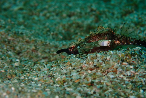 9016BD5C-DD53-4FE2-8E9A-56B528E1B556