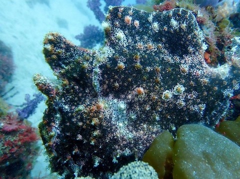 FC7FF037-4D59-42FF-9CA8-2BC284B3512B