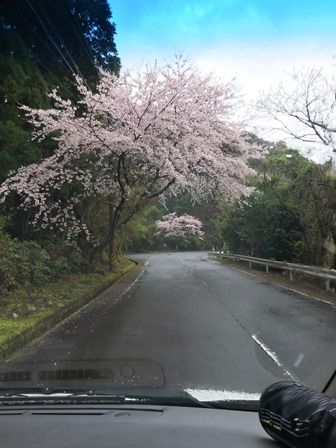 写真 2017-04-10 15 32 36
