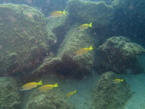 PA010008
