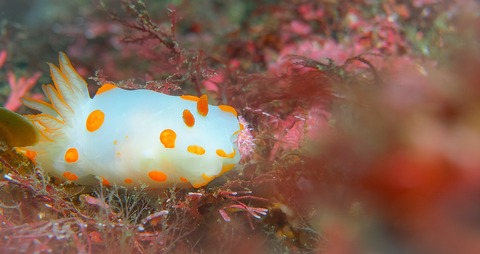 写真 2017-09-27 10 48 19