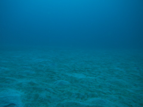 P8244176