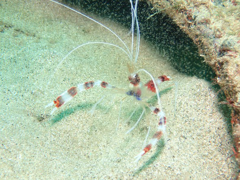 97FF0689-EE2F-418C-B85F-A43620BC1CCB