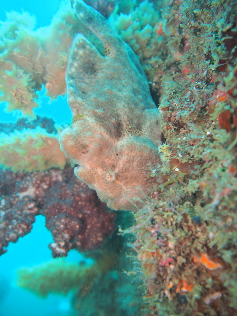 P8210016