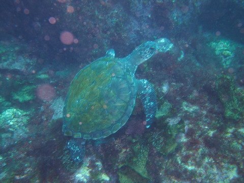 P8234143