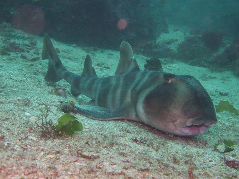 P6250937