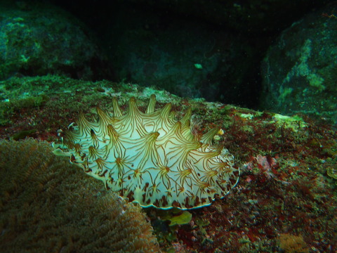 P4300048