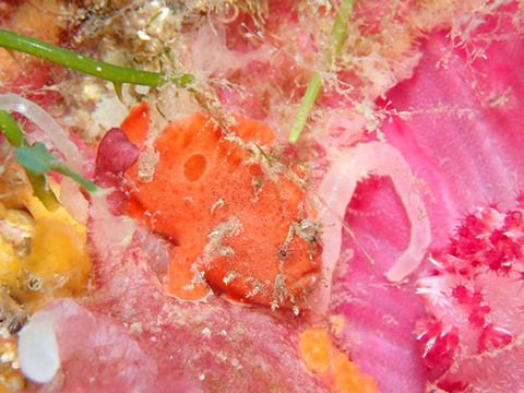 EEA86112-0755-4AC8-BABD-C6C05F50142B