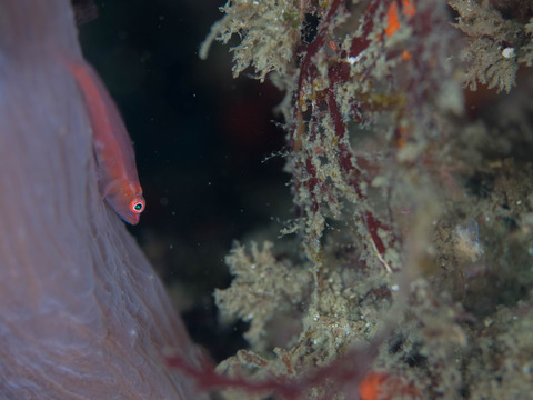 P3095353