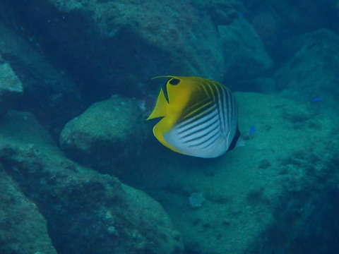 P9131308