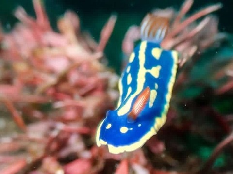 DA7F63C5-1D60-42A0-B285-EF033E8736AF