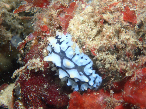 98EAC2DA-7C0A-4C82-88B5-5E44C83578A7