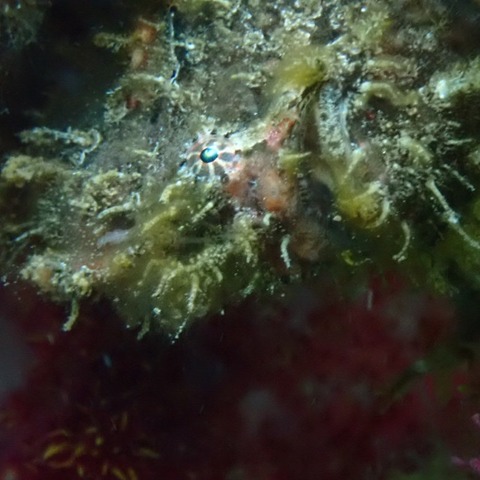 photo-output_3