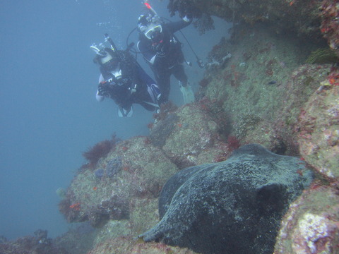 P8251721