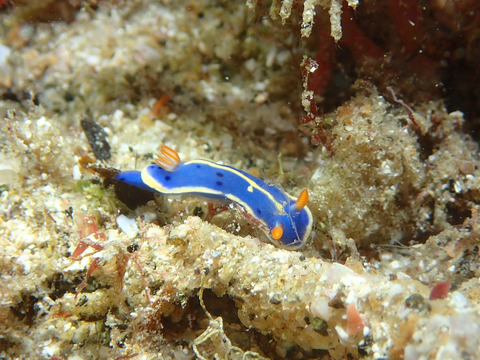 2FD70828-2D1D-423F-A628-3CF82E10C4AE