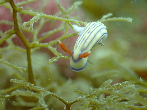 P5012666