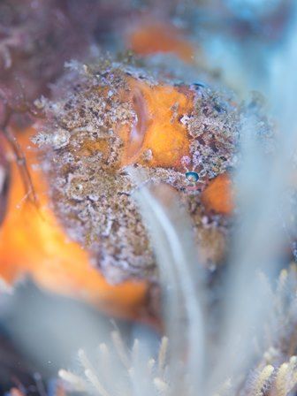 写真 2016-05-12 13 43 54