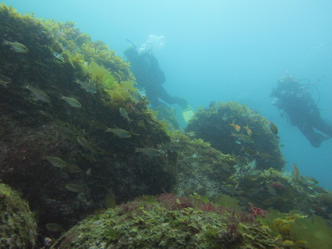 P4300053