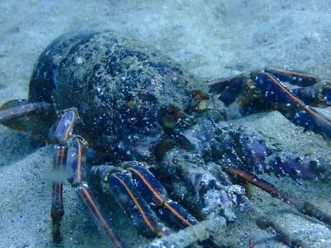 BDF2F080-9EED-4EE9-9FB9-D9A759BF23DD