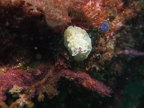 P2190243