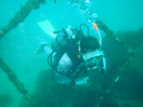 P3303482