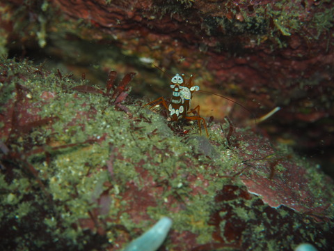 P8210060